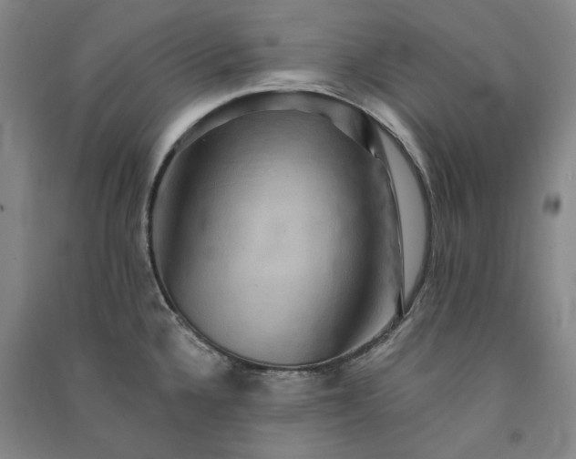 X0000091351336200708171423
