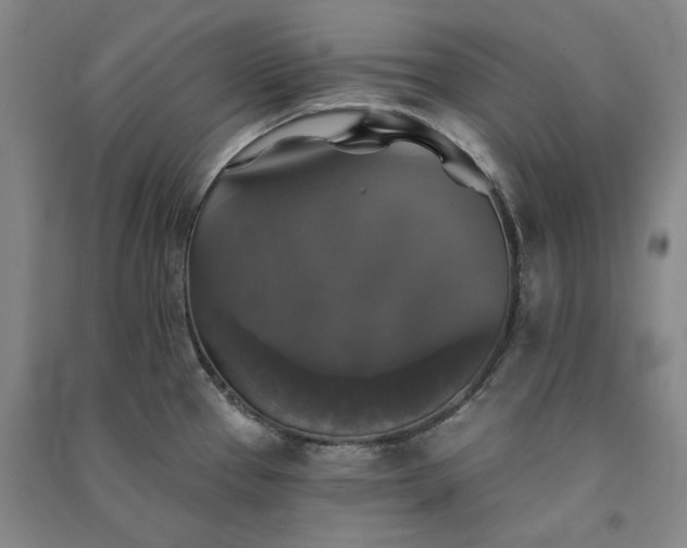 X0000091351337200708171423