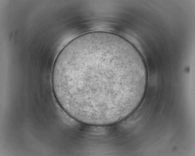 X0000091351338200708171423