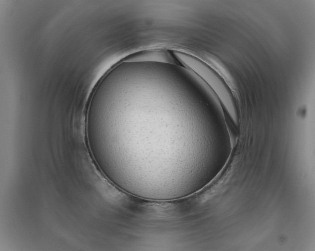 X0000091351340200708171423