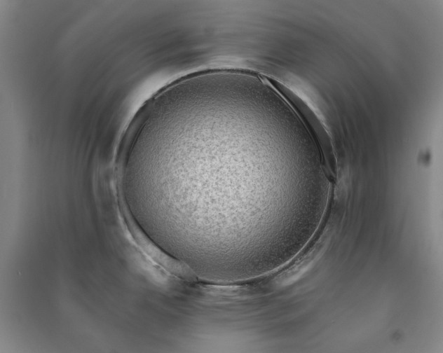 X0000091351342200708171423