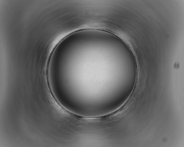 X0000091351344200708171423