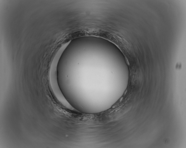 X0000091351345200708171422