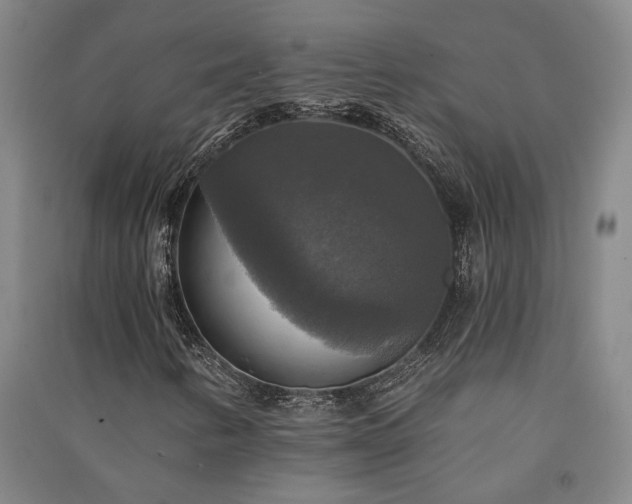 X0000091351346200708171422