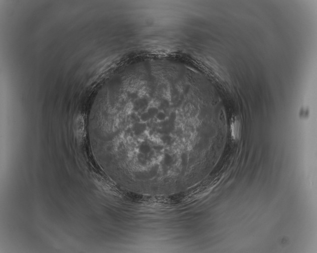 X0000091351347200708171422