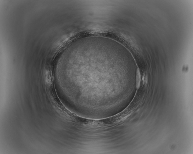X0000091351348200708171422