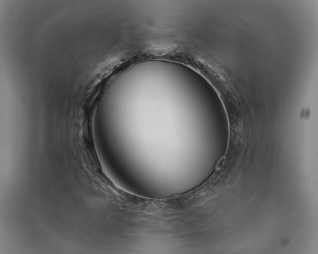 X0000091351349200708171422