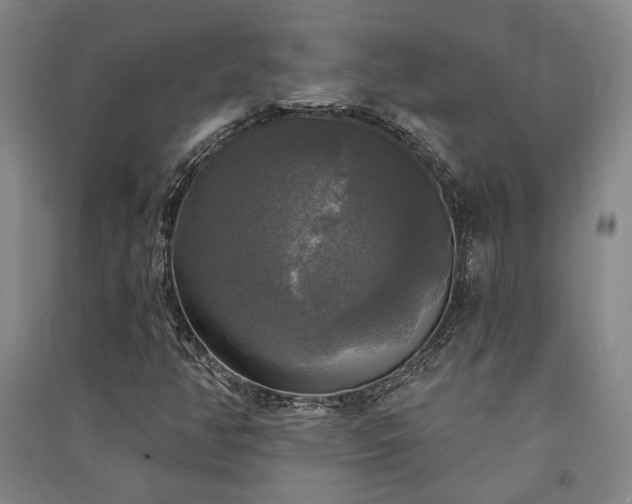 X0000091351350200708171422
