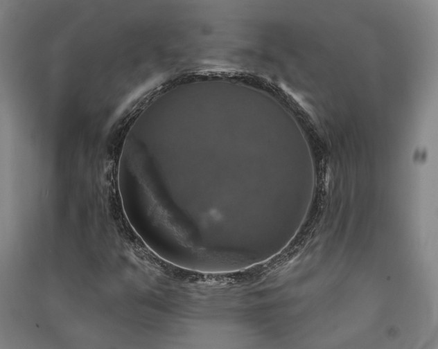X0000091351351200708171422