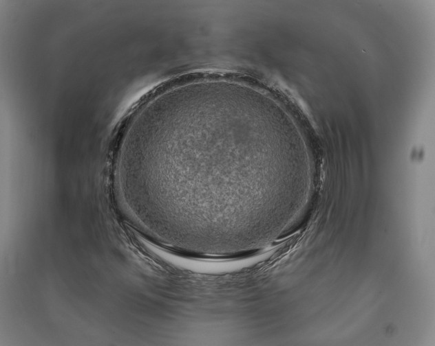 X0000091351352200708171422