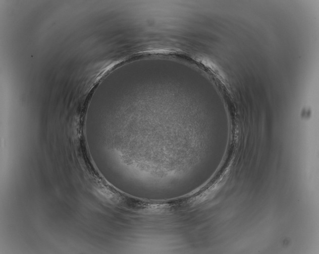 X0000091351353200708171422