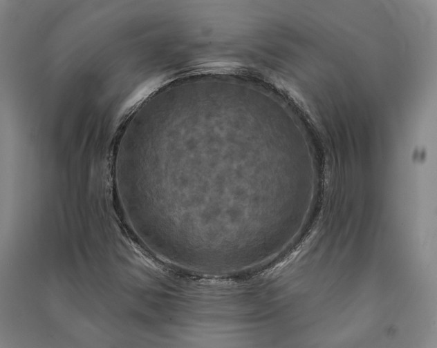 X0000091351354200708171422