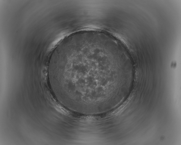 X0000091351355200708171422