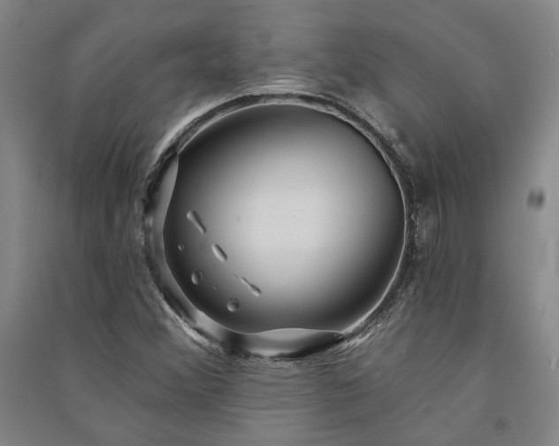 X0000091351356200708171422