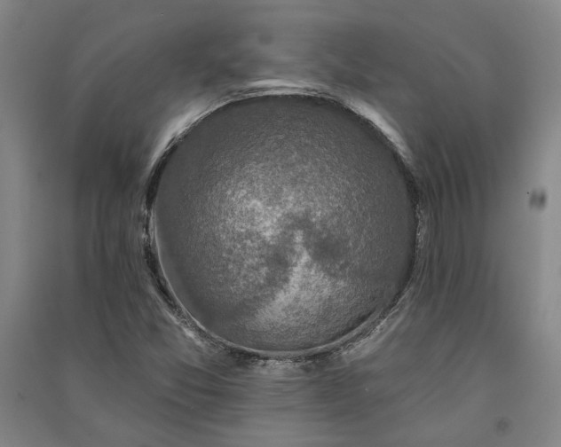 X0000091351357200708171422