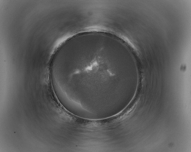X0000091351358200708171422