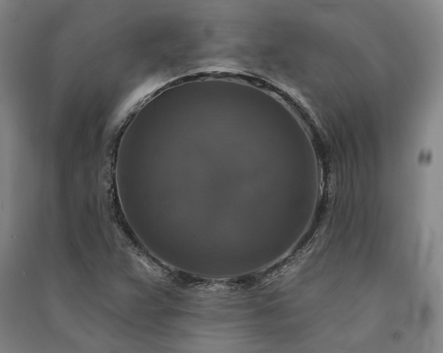 X0000091351359200708171422