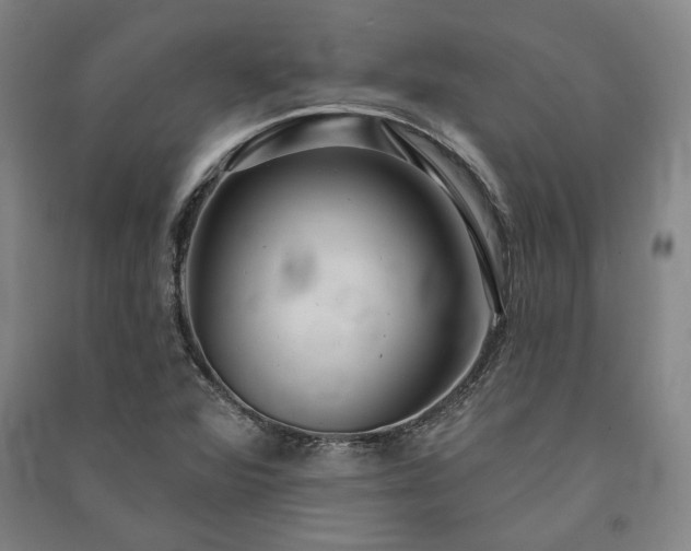 X0000091351360200708171422