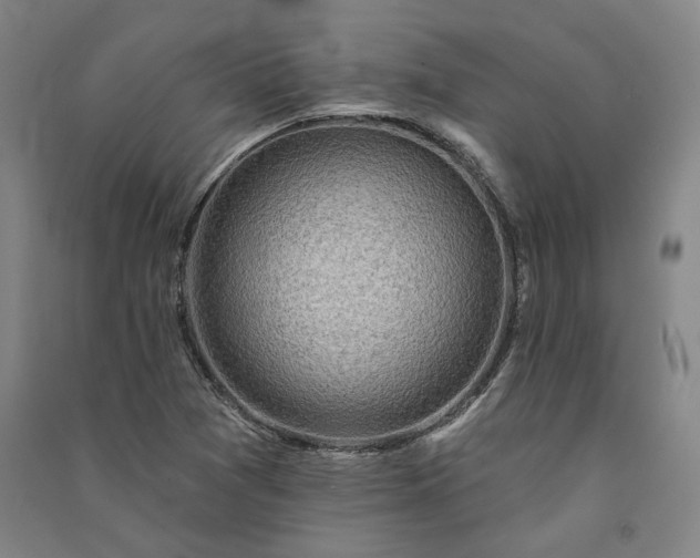 X0000091351361200708171422