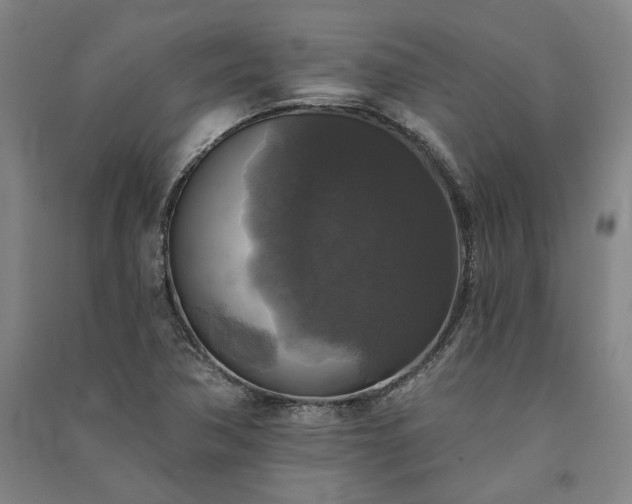X0000091351362200708171422