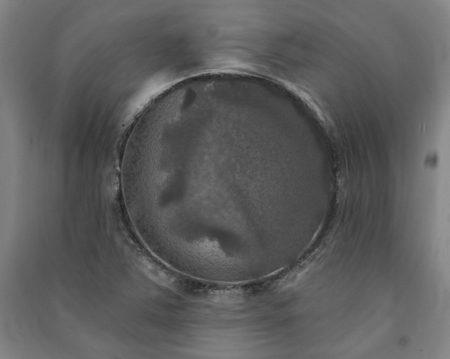X0000091351363200708171422