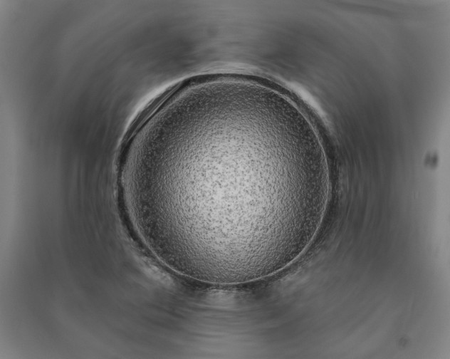 X0000091351364200708171422