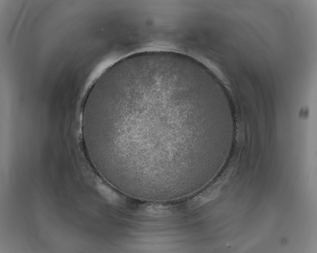X0000091351366200708171422