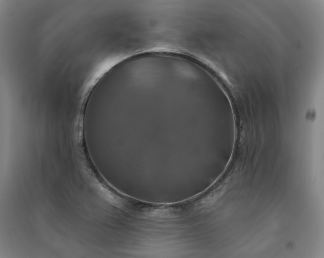 X0000091351367200708171422