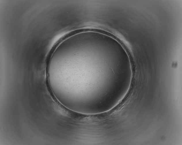 X0000091351368200708171422