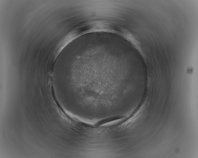 X0000091351369200708171422