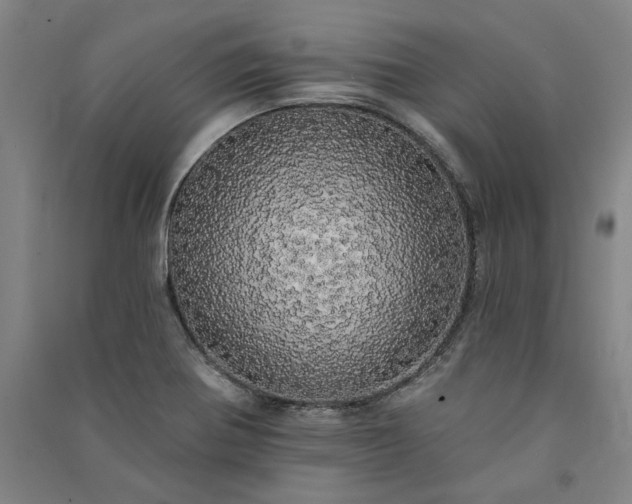 X0000091351370200708171422