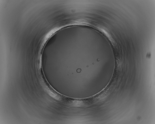 X0000091351371200708171422