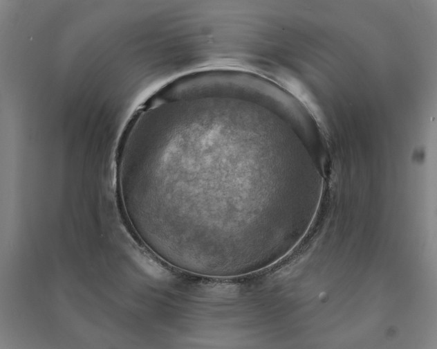 X0000091351372200708171422