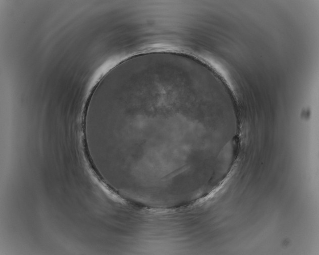 X0000091351373200708171422