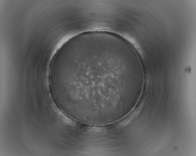 X0000091351374200708171422