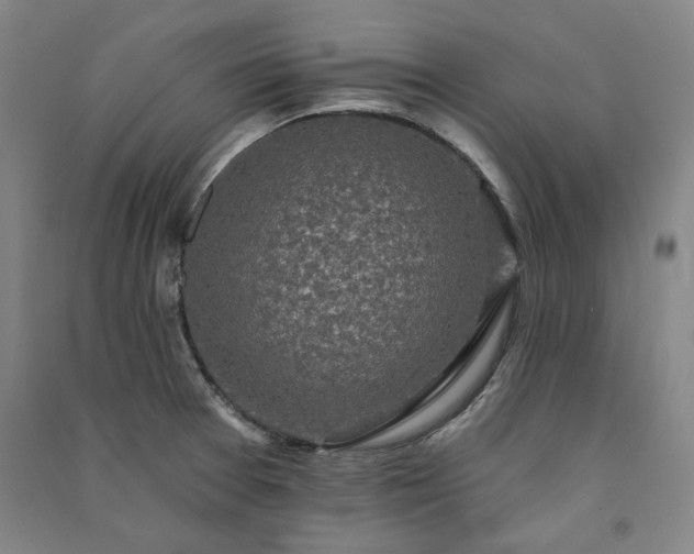 X0000091351377200708171422