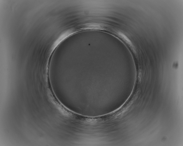 X0000091351378200708171422