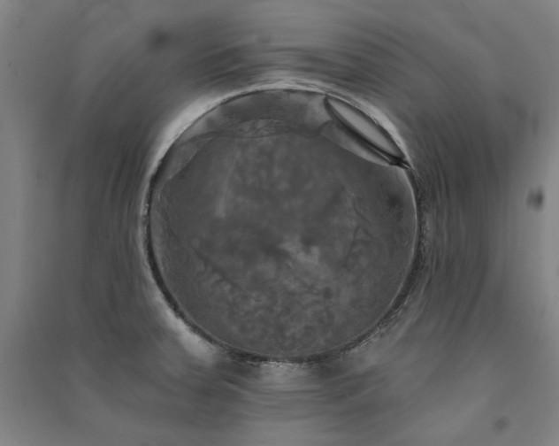 X0000091351379200708171422