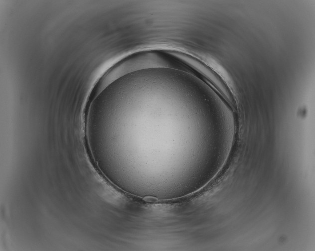 X0000091351380200708171422