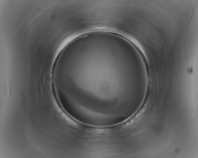 X0000091351381200708171422