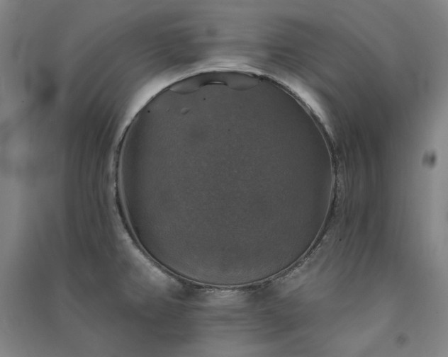 X0000091351382200708171422
