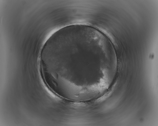 X0000091351383200708171422