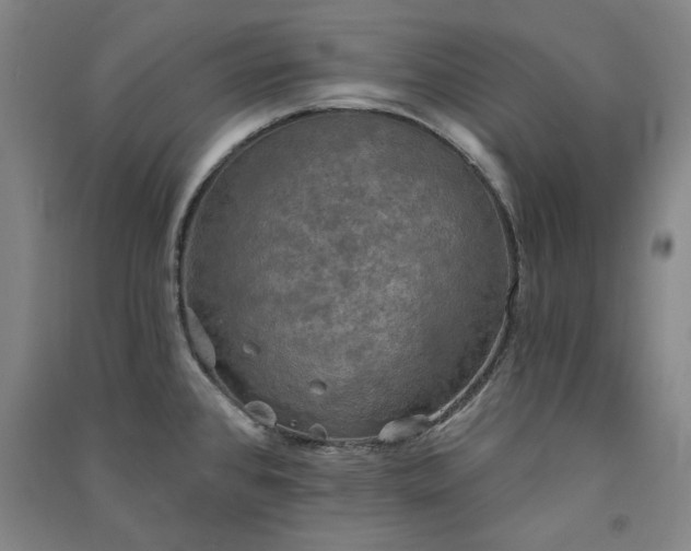 X0000091351384200708171422