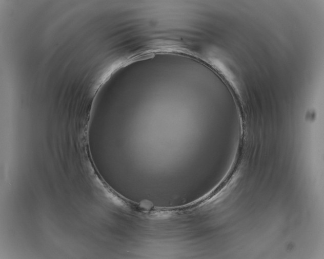 X0000091351385200708171422