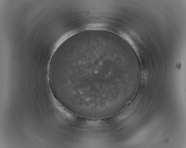 X0000091351386200708171422