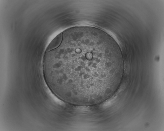 X0000091351387200708171422
