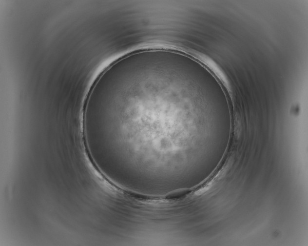X0000091351388200708171422