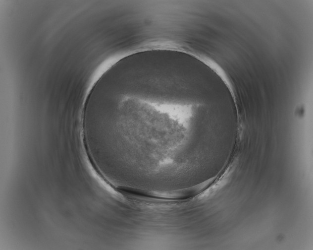 X0000091351389200708171422