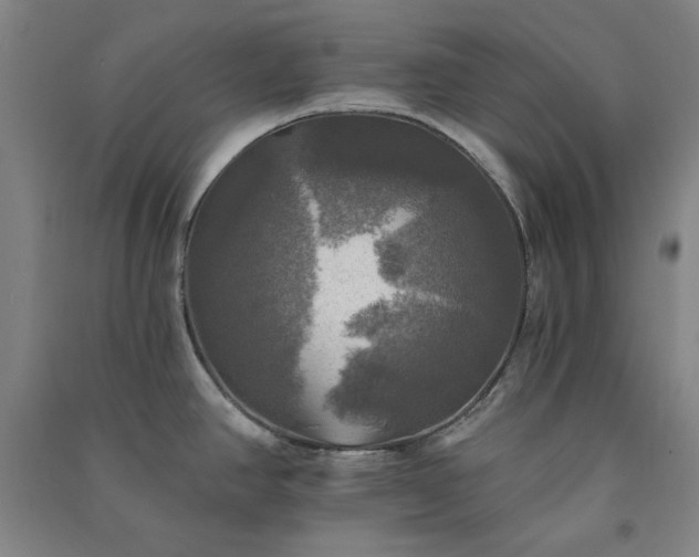 X0000091351390200708171422