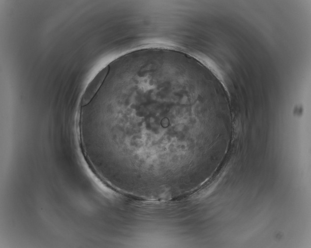 X0000091351391200708171422